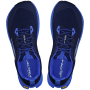 Herren Laufschuhe Altra M Lone Peak 9+