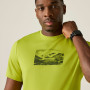 Herren-T-Shirt Regatta Fingal