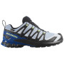 Herren Laufschuhe Salomon Xa Pro 3D V9 GTX Icon
