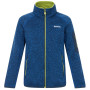 Kinder-Sweatshirt Regatta Junior Newhill Aviator Blue Golden Cypress blau AvBlu(GldCy)