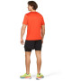 Herren-Funktionsshirt Alpine Pro Basik