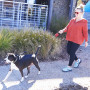 Hundeleine Nite Ize RadDog™ Retractable Pocket Leash