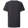 Herren-T-Shirt Haglöfs Outsiders Tee