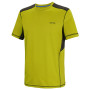 Herren-T-Shirt Regatta Virda