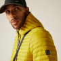 Herrenjacke Regatta Rigain
