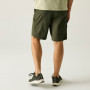 Herrenshorts Regatta Arlery Shorts