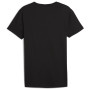 Herren T-Shirt Puma Everyday Crew Neck Tee 2P