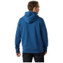 Herren-Sweatshirt Helly Hansen HH Logo Hoodie