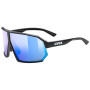 Kategorie Sonnenfilter (Kat.): S2 / Farbe: schwarz/blau