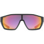 Brille Uvex MTN STYLE P