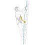 Falldämpfer Petzl Asap´Sorber 20cm