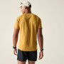 Herren-T-Shirt Dare 2b Tech II Tee