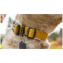 Hundehalsband Ruffwear Hi & Light™ Collar