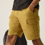 Herrenshorts Regatta Ruwan Shorts
