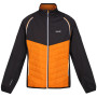 Größe: L / Farbe: orange