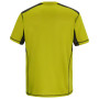 Herren-T-Shirt Regatta Virda
