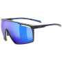 Kategorie Sonnenfilter (Kat.): S2 / Farbe: schwarz/blau