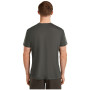 Herren-Funktionsshirt Icebreaker Merino Blend Core SS Tee Single Line Camp