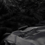 Herrenjacke Alpine Pro Werd
