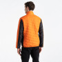 Herrenjacke Dare 2b Descending Jacket