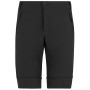 Herrenhose Regatta Mountain Z/O Trousers