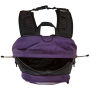 Rucksack The North Face Hot Shot Se