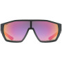 Brille Uvex MTN STYLE P
