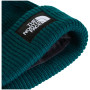 Mütze The North Face Salty Lined Beanie
