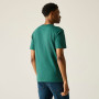 Herren-T-Shirt Regatta Rendro