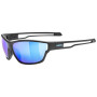 Kategorie Sonnenfilter (Kat.): S3 / Farbe: schwarz/blau