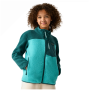 Kinder-Funktions-Sweatshirt Regatta Junior Frankie Warm Fleece Mediterranea/Turquoise