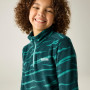 Kinder-Sweatshirt Regatta Hot Shot II MeditZebra
