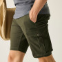 Herrenshorts Regatta Bendrick Shorts