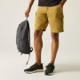 Herrenshorts Regatta Ruwan Shorts