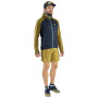 Herrenshorts Dynafit Alpine Pro 2/1 Shorts M