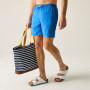 Herrenshorts Regatta Mackleyna Swim Short