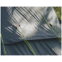 Familienzelt Outwell Cloud 5 Plus