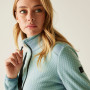 Damen-Sweatshirt Regatta Ened