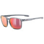Kategorie Sonnenfilter (Kat.): S3 / Farbe: grau/rot