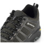 Herrenschuhe Alpine Pro Musswe