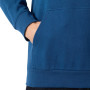 Herren-Sweatshirt Helly Hansen HH Logo Hoodie