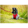 Hundegeschirr Mountain Paws Dog Harness
