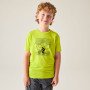 Kinder-T-Shirt Dare 2b Amuse III Tee Frgle Sprout