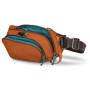Hüfttasche Pacsafe ECO waist pack