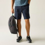 Herrenshorts Regatta Arlery Shorts